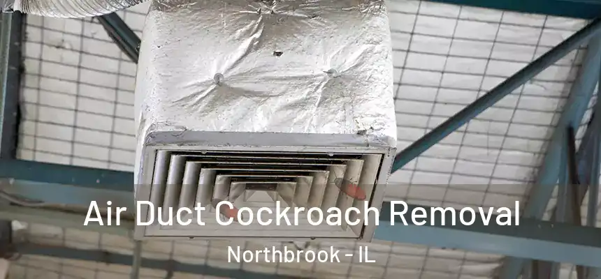  Air Duct Cockroach Removal Northbrook - IL