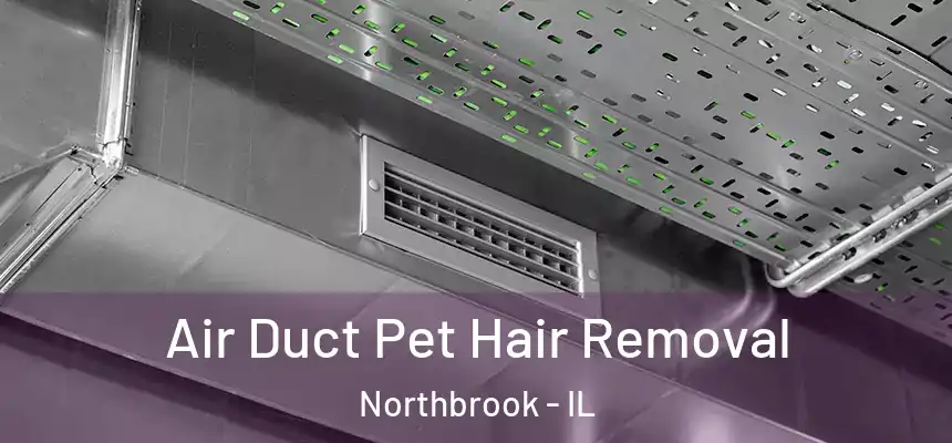  Air Duct Pet Hair Removal Northbrook - IL