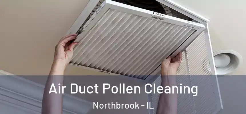  Air Duct Pollen Cleaning Northbrook - IL