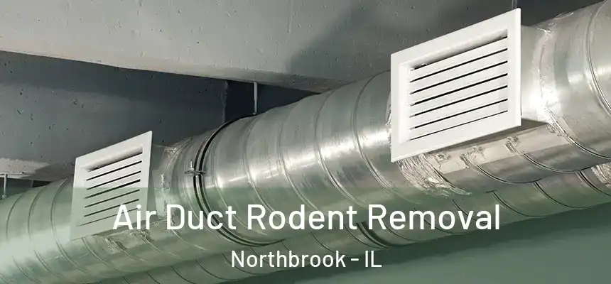  Air Duct Rodent Removal Northbrook - IL