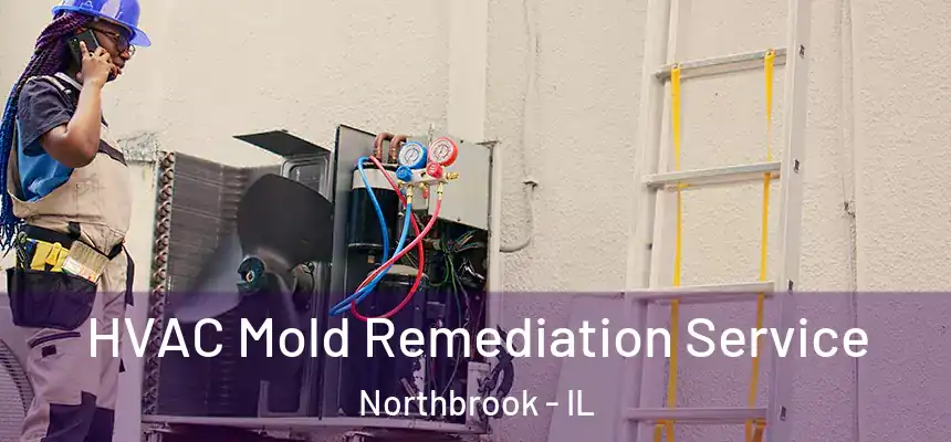  HVAC Mold Remediation Service Northbrook - IL