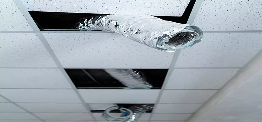 Our Air Duct Pet Hair Removal Services in Northbrook, IL