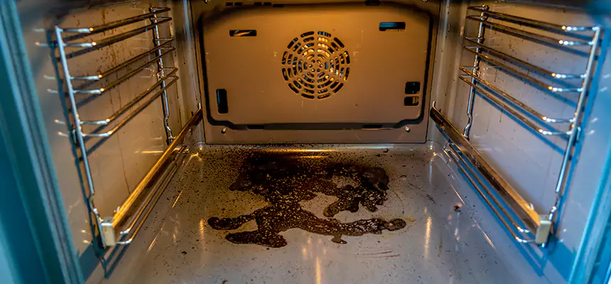 Our Dryer Vent Mold Cleaning Services in Northbrook, IL