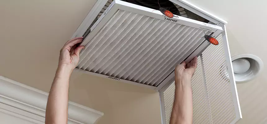Our Insect Removal from Air Ducts Services in Northbrook, IL