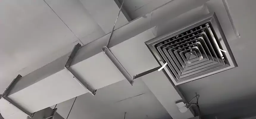 Our Pest Removal From Ducts Services in Northbrook, IL