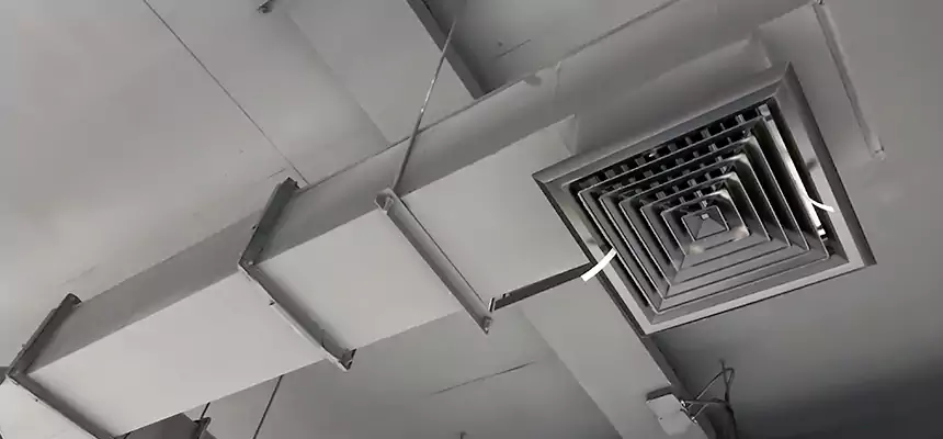 Our Rodent Droppings In Vents Services in Northbrook, IL