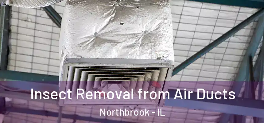  Insect Removal from Air Ducts Northbrook - IL