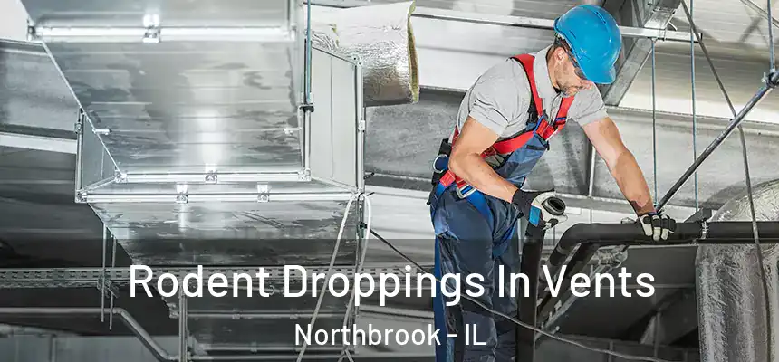  Rodent Droppings In Vents Northbrook - IL