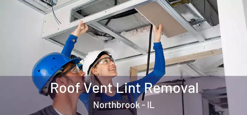  Roof Vent Lint Removal Northbrook - IL