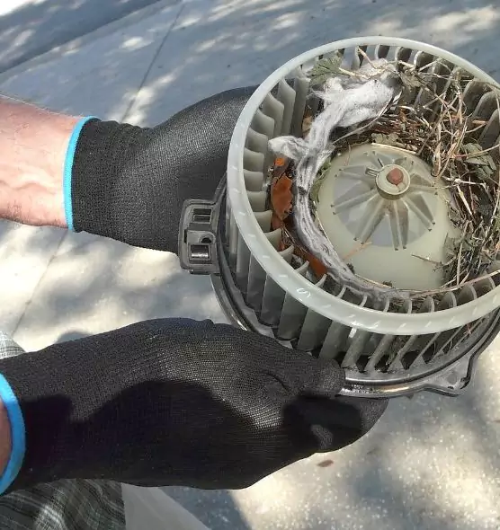 About Air Duct Rat Removal in Northbrook, IL