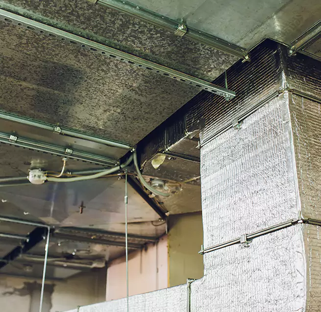 Why Homeowners & Businesses Trust Us in Northbrook, IL?